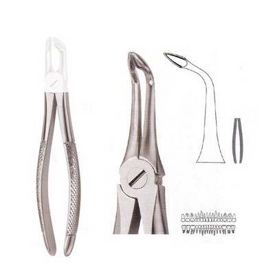 Extracting Forceps